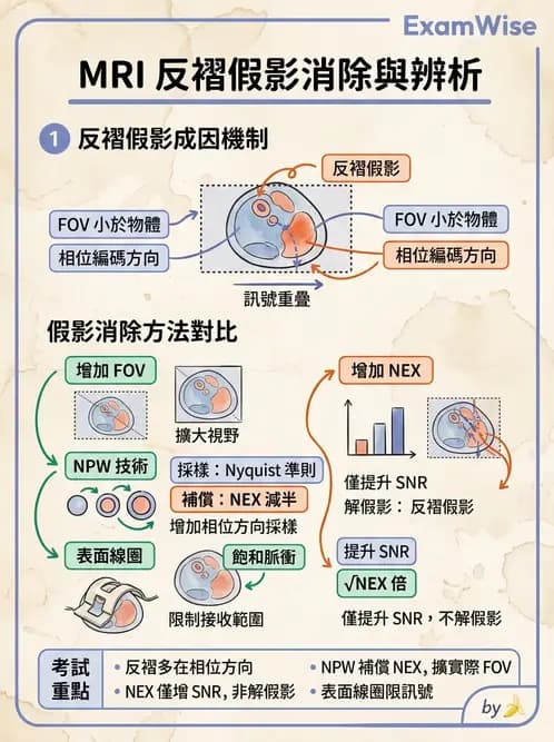 放射 - 磁振影像品質與參數 - AI 圖文解析預覽