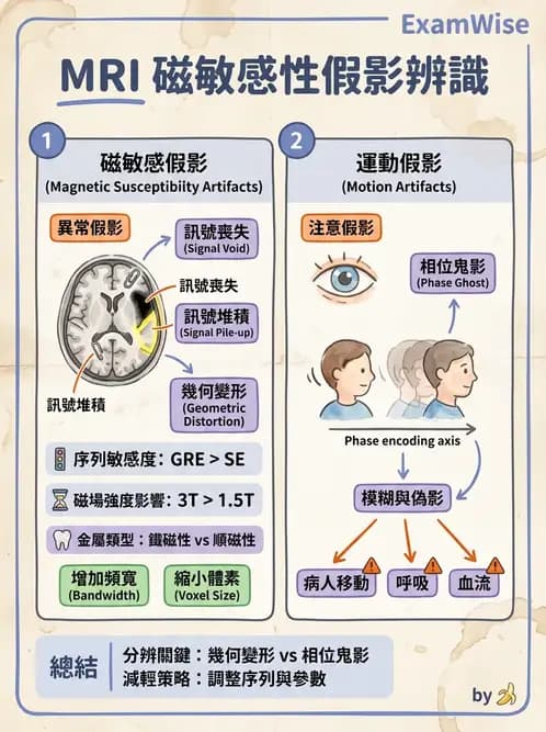 放射 - 磁振影像品質與參數 - AI 圖文解析預覽