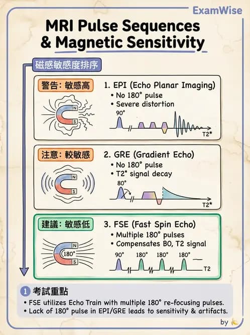 放射 - MRI脈衝序列與訊號技術 - AI 圖文解析預覽