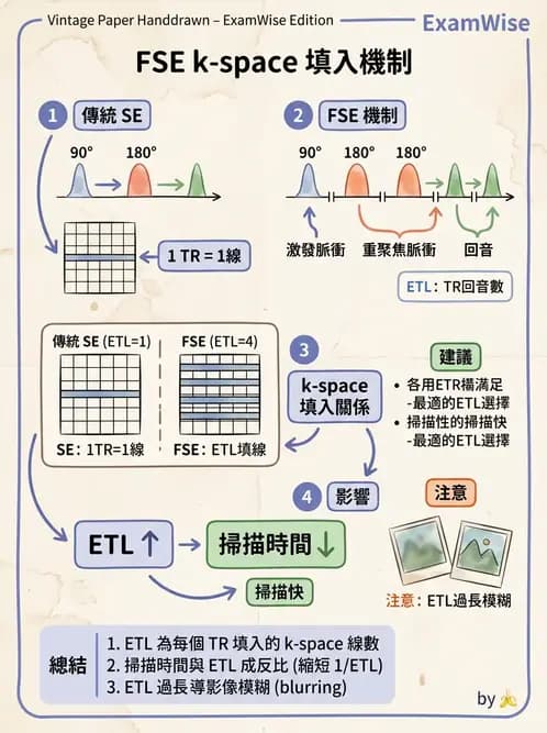 放射 - MRI脈衝序列與訊號技術 - AI 圖文解析預覽