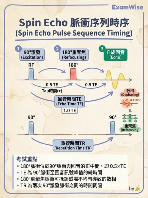 放射 - MRI脈衝序列與訊號技術 - AI 圖文解析預覽