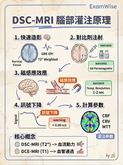 放射 - MR進階影像與臨床應用 - AI 圖文解析預覽