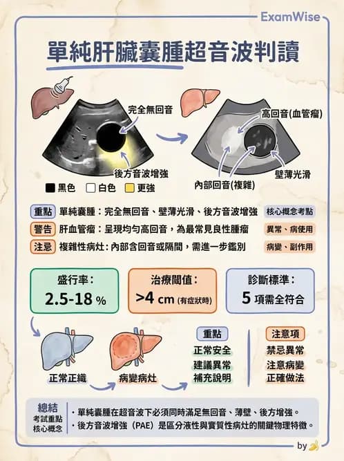 放射 - 肝臟超音波 - AI 圖文解析預覽