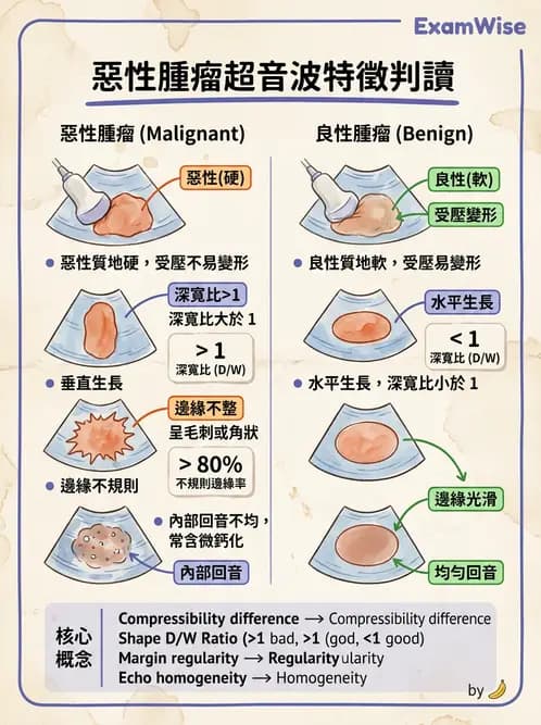 放射 - 超音波物理與技術 - AI 圖文解析預覽