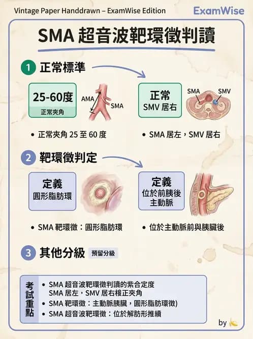 放射 - 膽胰脾超音波 - AI 圖文解析預覽