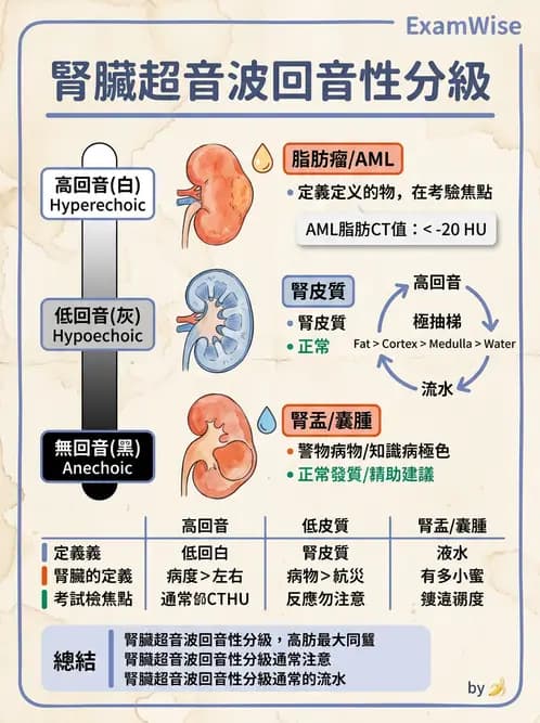 放射 - 腎臟血管與其他超音波 - AI 圖文解析預覽