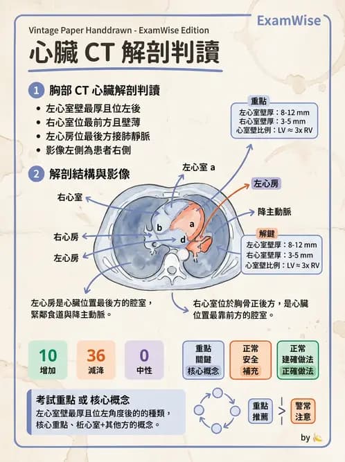 放射 - CTA與CT影像技術應用 - AI 圖文解析預覽