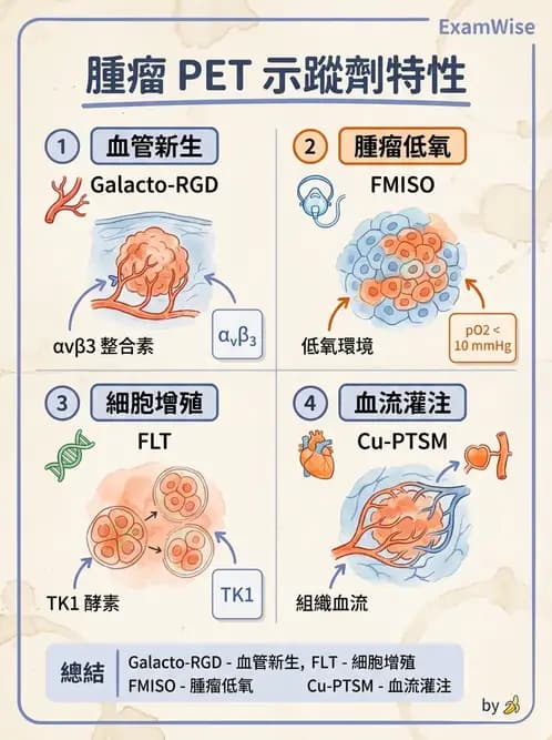 放射 - 輻射生物分子技術 - AI 圖文解析預覽
