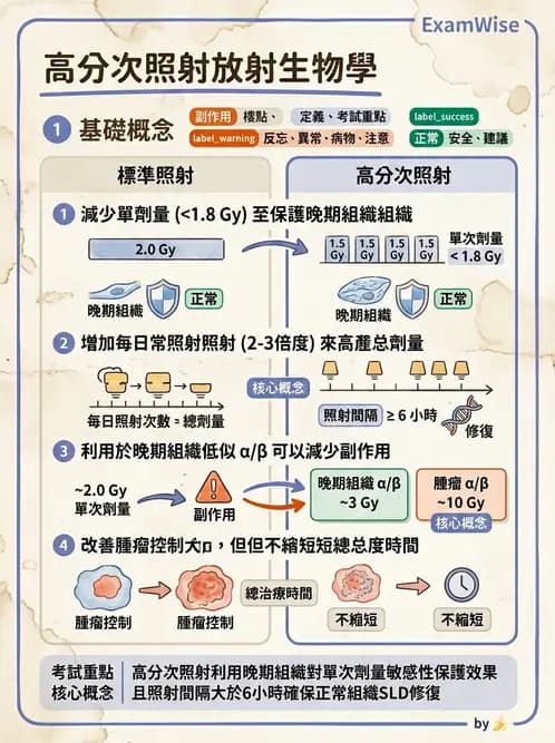 放射 - 時間劑量分次效應 - AI 圖文解析預覽