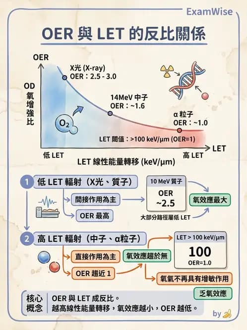 放射 - LET、RBE、OER與復氧效應 - AI 圖文解析預覽