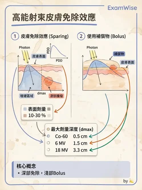 放射 - 劑量增建、散射因子與假體量測 - AI 圖文解析預覽