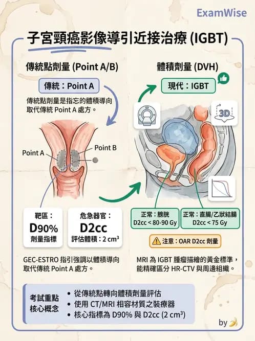 放射 - 近接放射治療臨床計畫與應用 - AI 圖文解析預覽