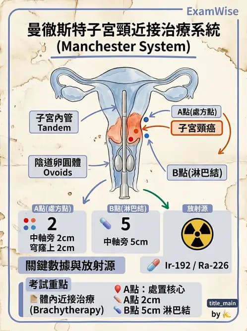放射 - 腔內近接治療 - AI 圖文解析預覽