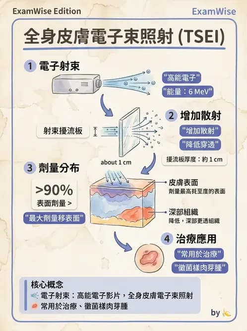 放射 - 全身放射治療技術(TBI/TSET) - AI 圖文解析預覽