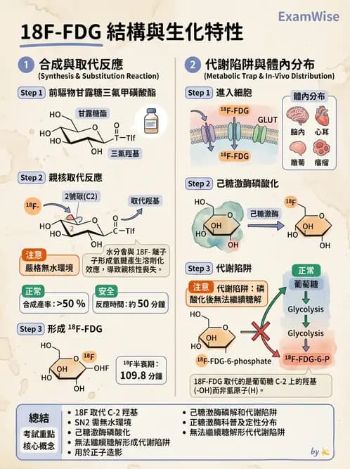 放射 - PET藥物基礎與心臟造影 - AI 圖文解析預覽