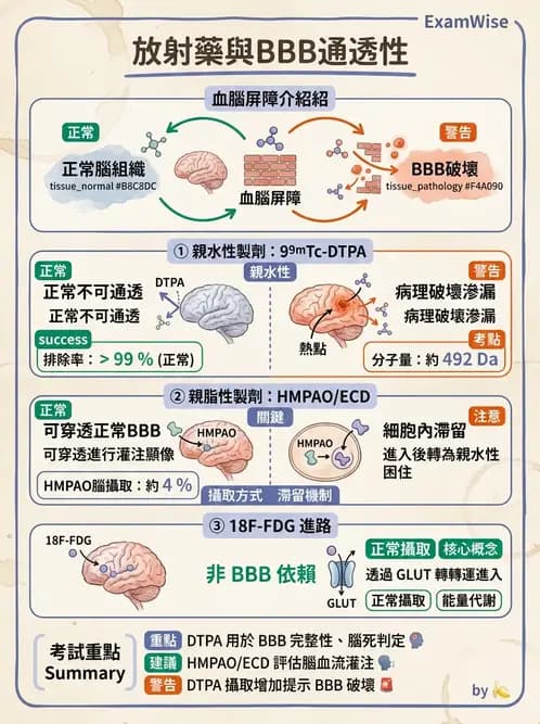 放射 - 腦部造影SPECT藥物 - AI 圖文解析預覽