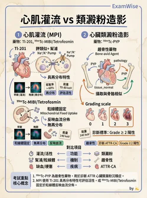放射 - 心肌造影SPECT藥物 - AI 圖文解析預覽