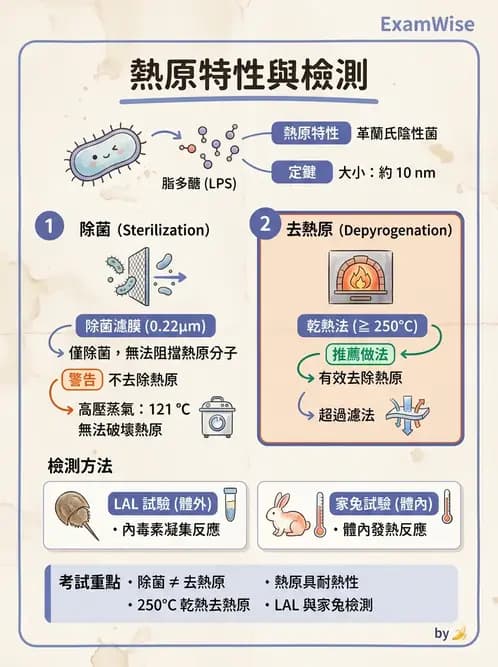 放射 - 肺肝膽與製劑通則 - AI 圖文解析預覽