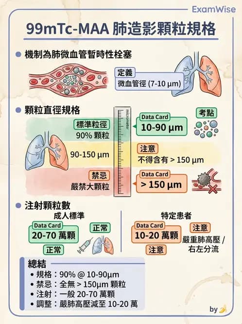 放射 - 肺肝膽與製劑通則 - AI 圖文解析預覽