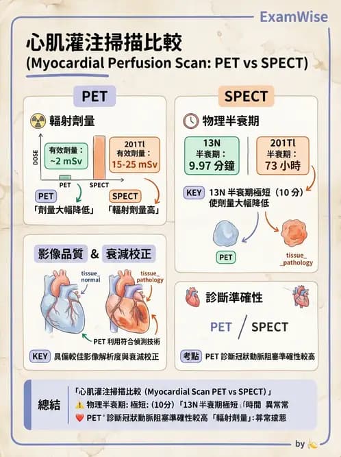 放射 - 心臟灌注造影 - AI 圖文解析預覽