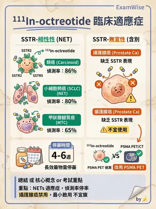放射 - 標靶受體腫瘤造影 - AI 圖文解析預覽