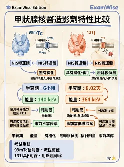 放射 - 甲狀腺造影 - AI 圖文解析預覽