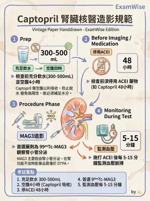 放射 - 腎臟造影 - AI 圖文解析預覽