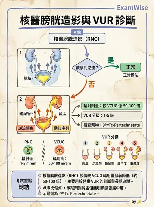 放射 - 腎臟造影 - AI 圖文解析預覽