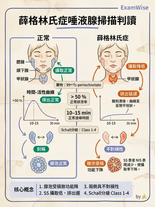 放射 - 消化道造影 - AI 圖文解析預覽