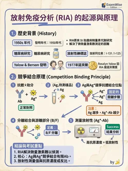 放射 - RIA與IRMA分析原理 - AI 圖文解析預覽