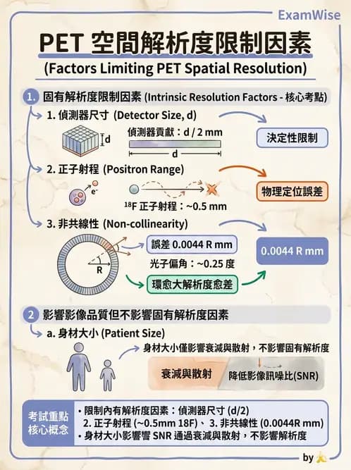 放射 - PET造影原理與重組 - AI 圖文解析預覽