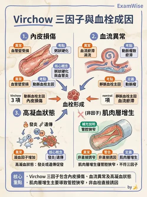 護理師 - 呼吸、循環系統 - AI 圖文解析預覽