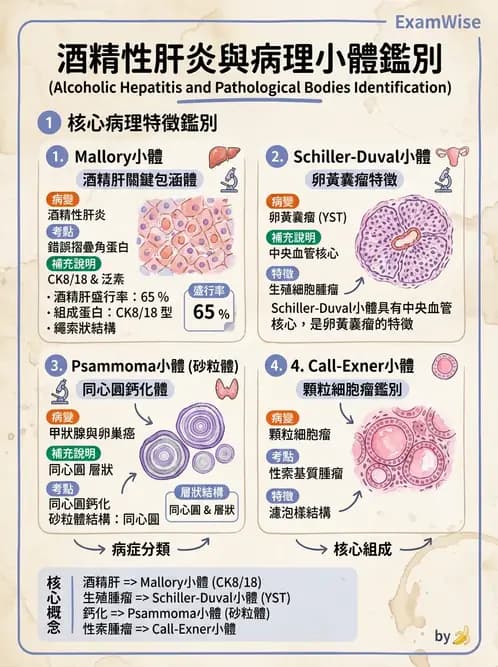 護理師 - 消化及肝膽/胰系統 - AI 圖文解析預覽