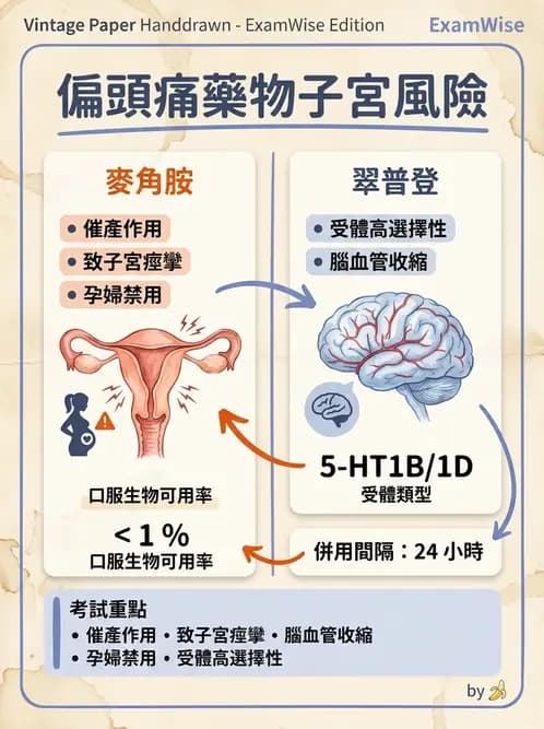 護理師 - 自泌素及藥物 - AI 圖文解析預覽
