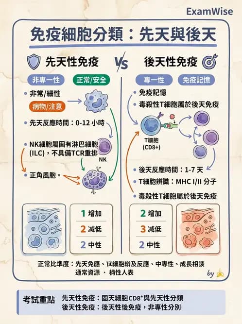 護理師 - 免疫系統組成、抗原-抗體、補體、先天性免疫 - AI 圖文解析預覽