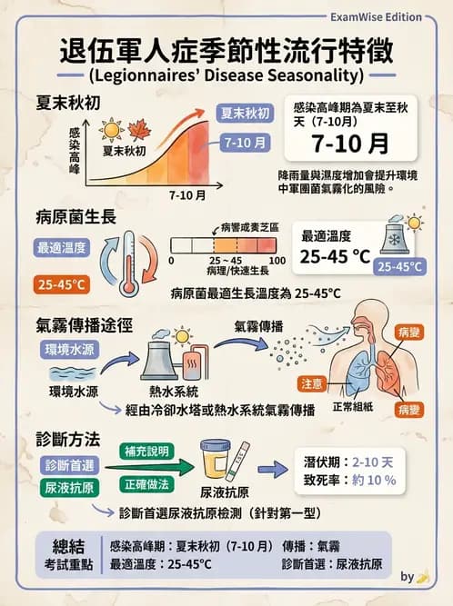 護理師 - 其他細菌 - AI 圖文解析預覽