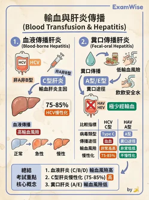 護理師 - DNA 病毒與肝炎病毒 - AI 圖文解析預覽