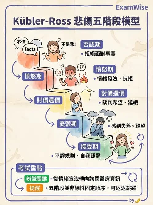 護理師 - 護理理論與專業倫理 - AI 圖文解析預覽