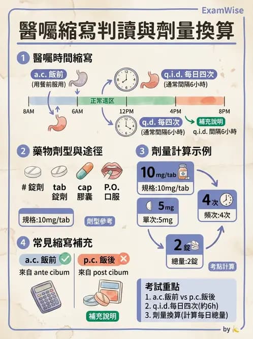 護理師 - 給藥原則與口服給藥 - AI 圖文解析預覽