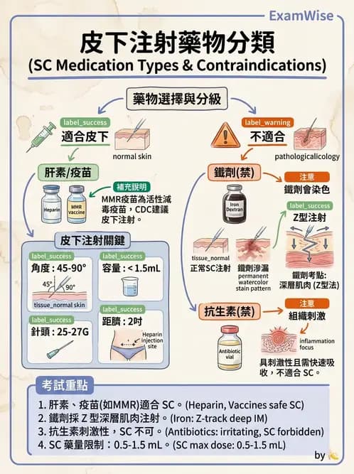 護理師 - 注射技術 - AI 圖文解析預覽