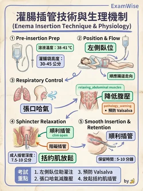 護理師 - 腸道排泄與灌腸護理 - AI 圖文解析預覽