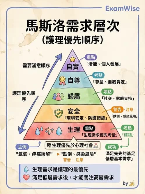 護理師 - 護理理論與專業倫理 - AI 圖文解析預覽