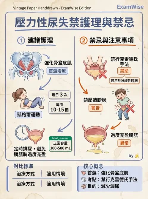 護理師 - 泌尿排泄與導尿護理 - AI 圖文解析預覽