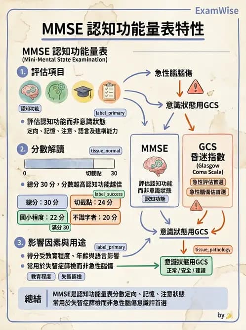 護理師 - 神經退化疾病與癲癇 - AI 圖文解析預覽