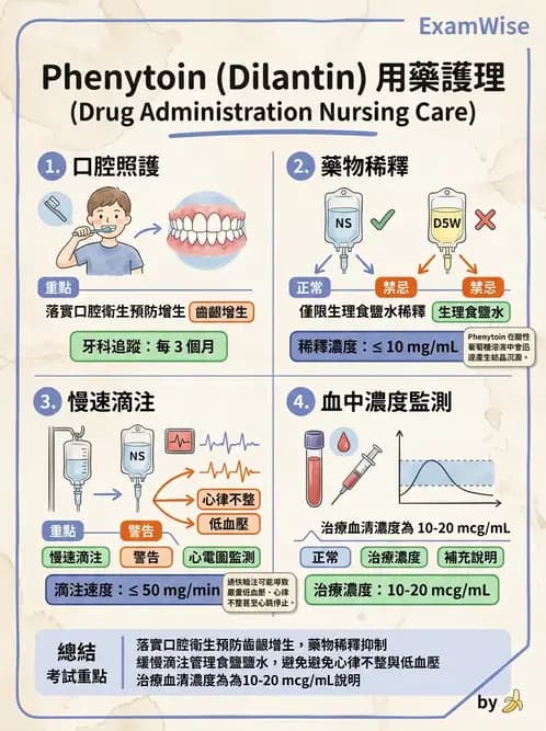 護理師 - 神經退化疾病與癲癇 - AI 圖文解析預覽