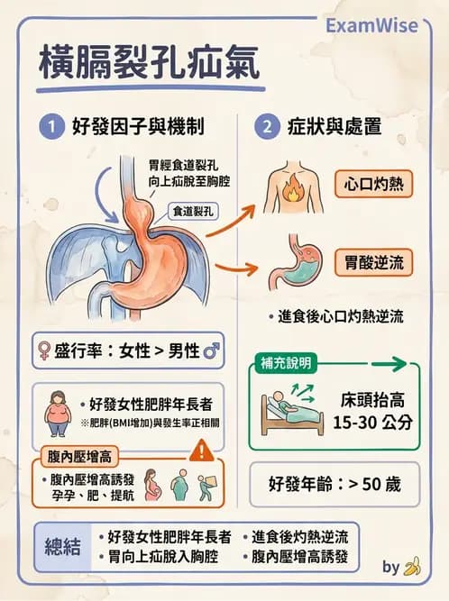 護理師 - 上消化道疾病 - AI 圖文解析預覽