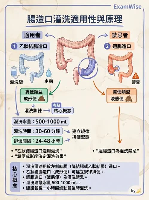 護理師 - 腸道疾病與手術護理 - AI 圖文解析預覽