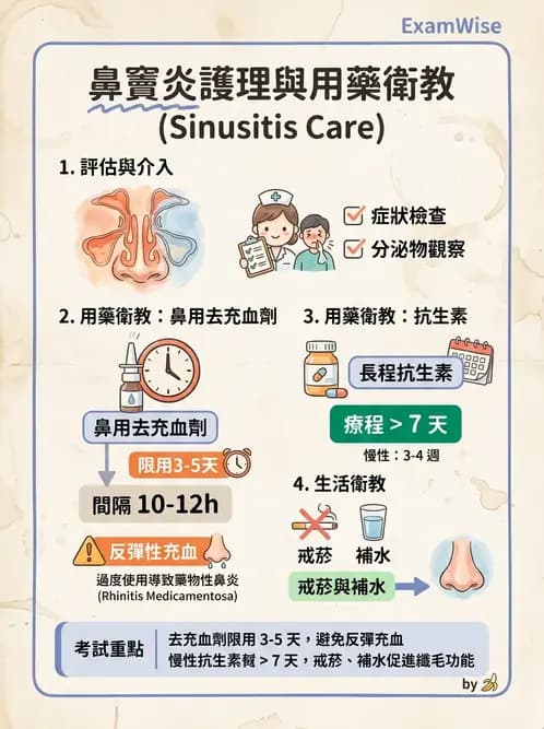 護理師 - 耳鼻喉疾病 - AI 圖文解析預覽