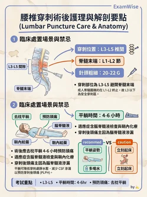護理師 - 化療護理 - AI 圖文解析預覽