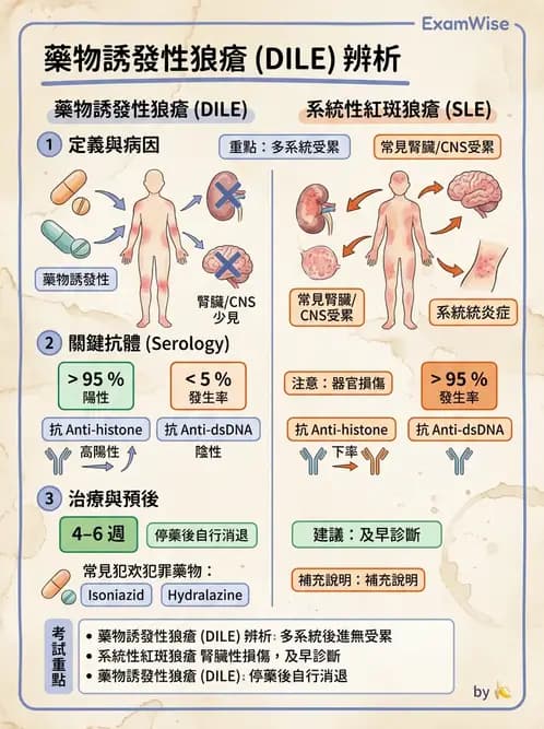 護理師 - 自體免疫疾病與過敏反應 - AI 圖文解析預覽
